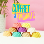COFFRET 9 FONDANTS
