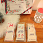 Coffret fondants de noël (1)