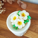 Fondant Monoi Peche (1)