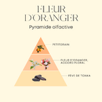 Pyramide olfactive Parfum FLEUR DORANGER