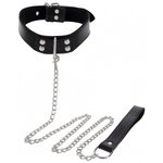 collier-laisse-elegant-taboom-1m