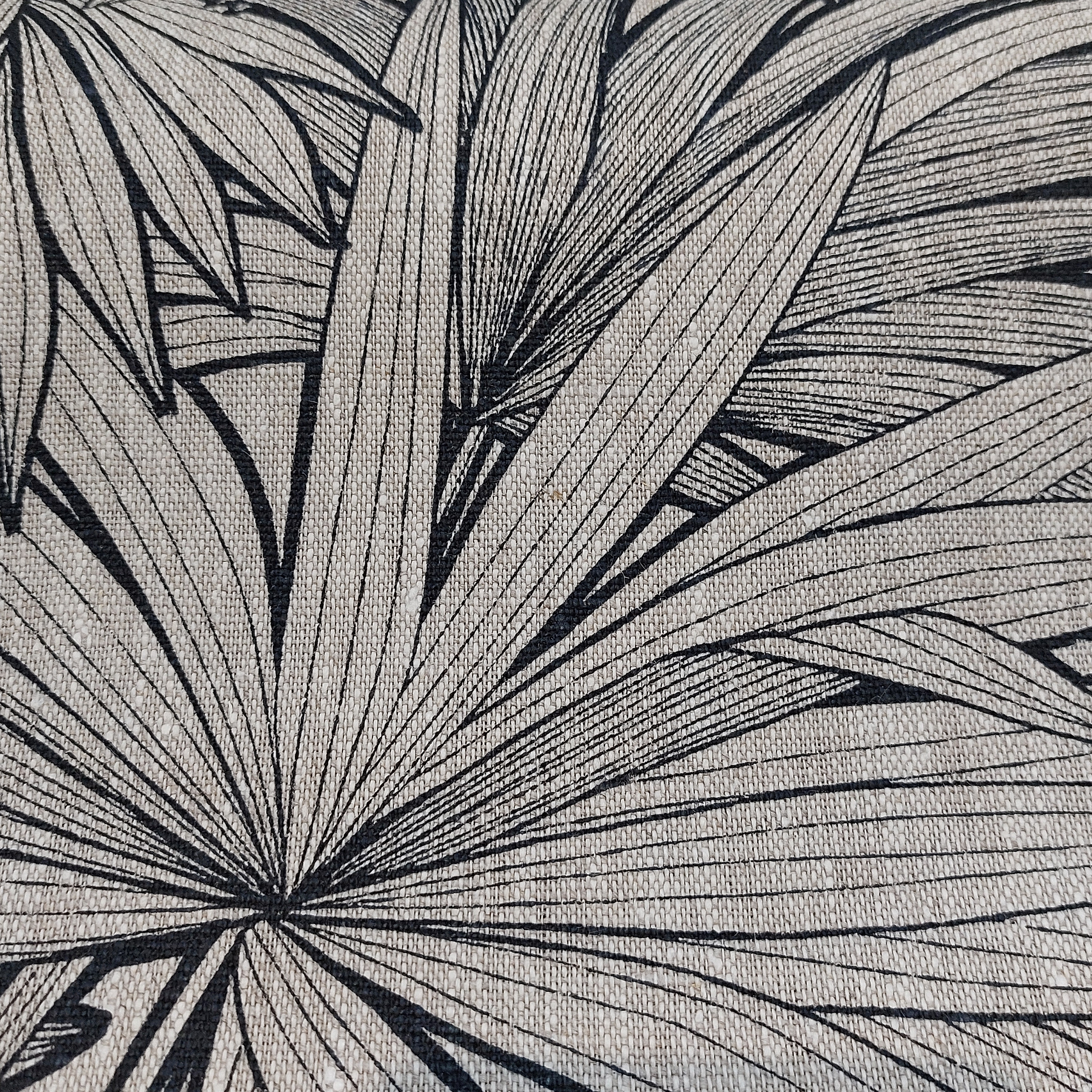 20250118_161828