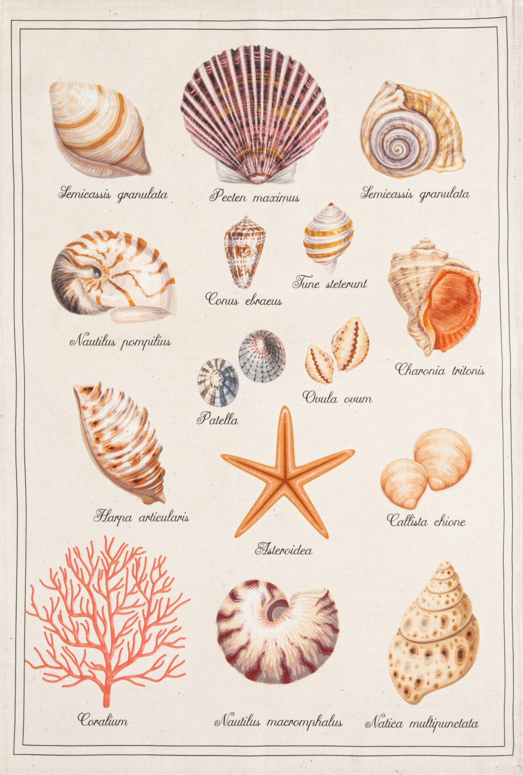 TRESORS_DE_LA_MER_TOR