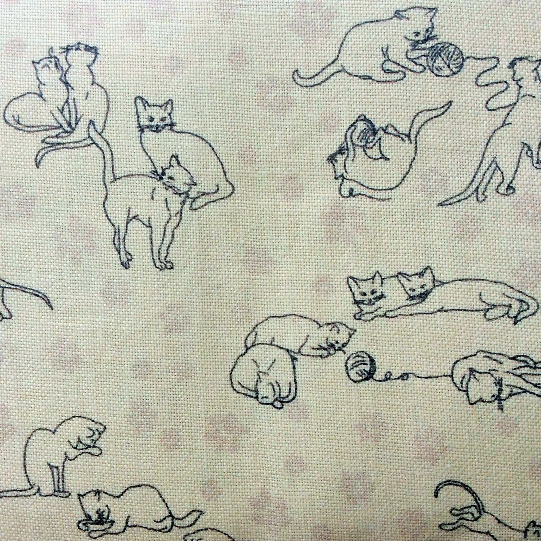 image00004