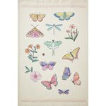 LES PAPILLONS_TOR