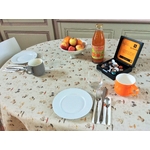 image00006 ok