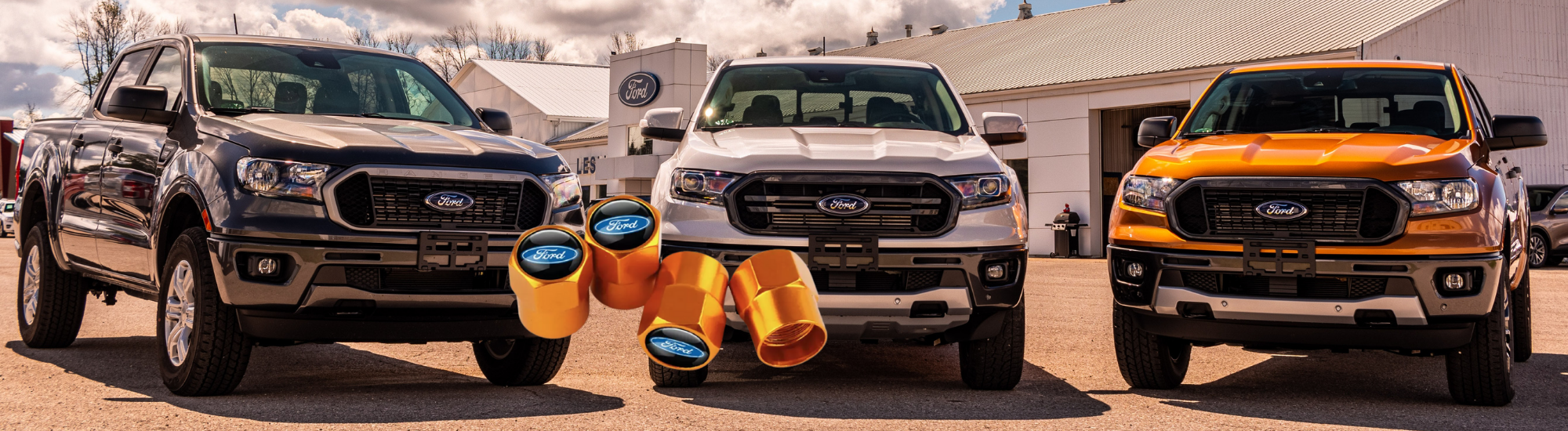 bouchons de valve Ford