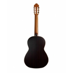 guitare-classique-esteve-mod7-fe-cocobolo_1_