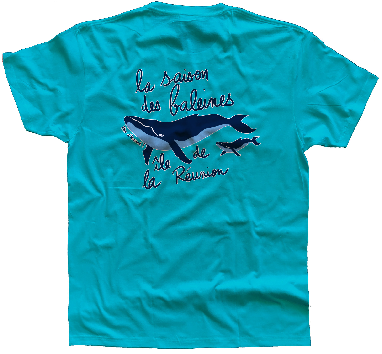 Baleines-adulte-dos-turquoise