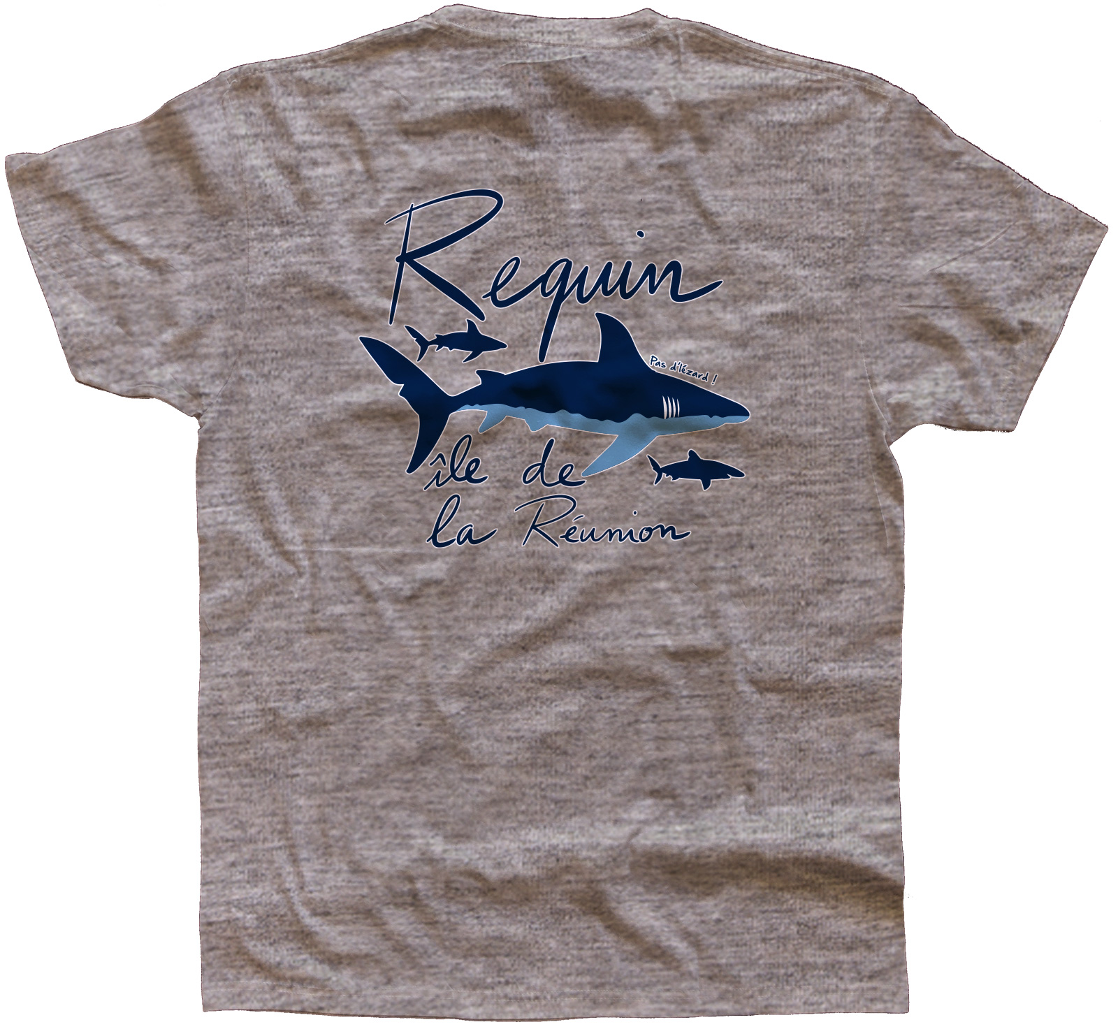 Requin-bleu-adulte-dos-Grey-melange