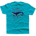 Baleines-adulte-dos-turquoise