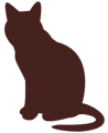 chat v2
