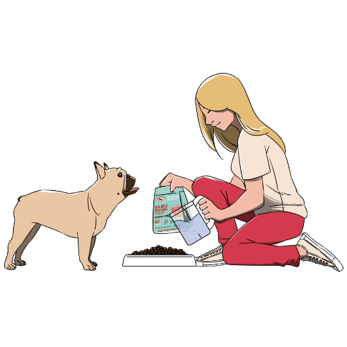 design sans titre