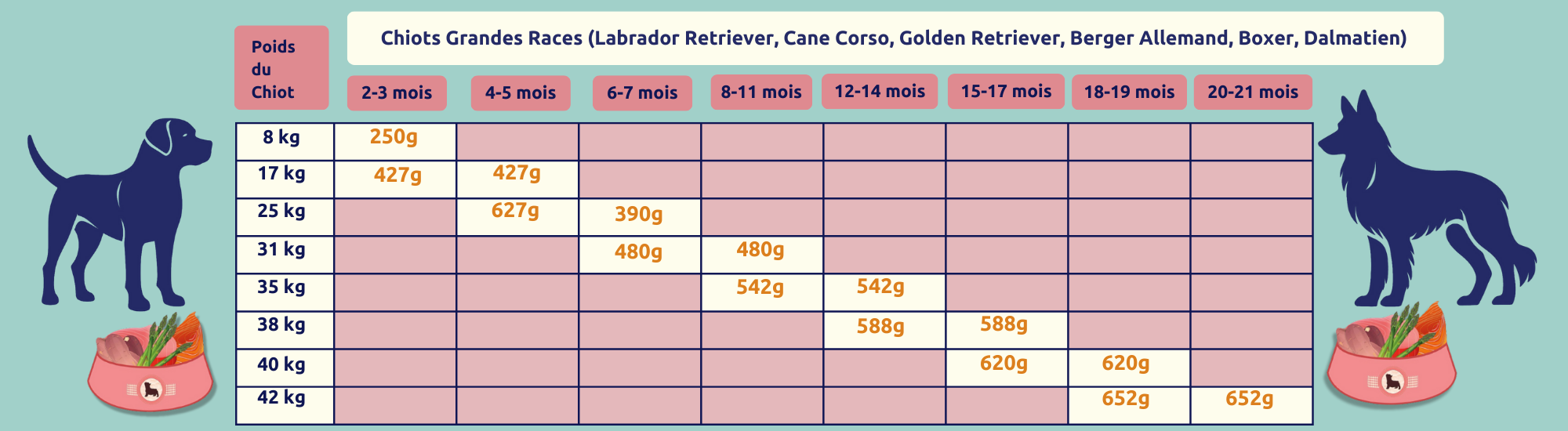 quantites recommandees par jour chien grande race
