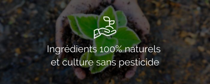 ingredient naturel pesticide