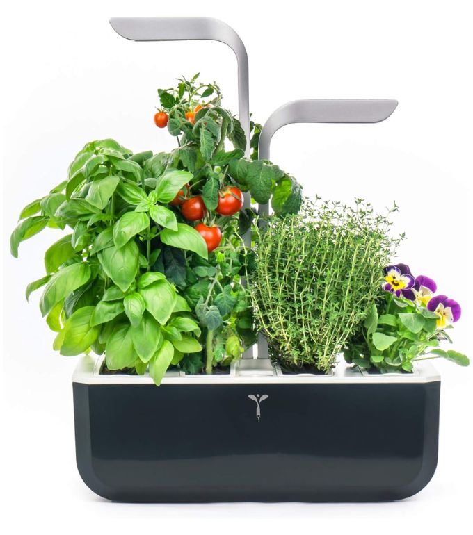 Potager Véritable® SMART