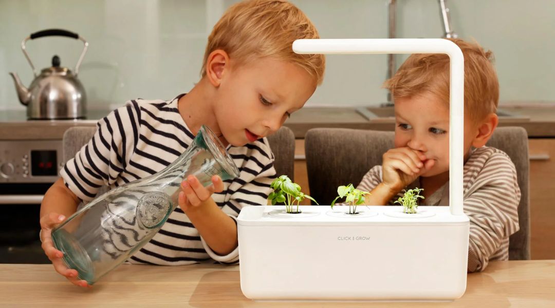 potager interieur smart and grow enfants
