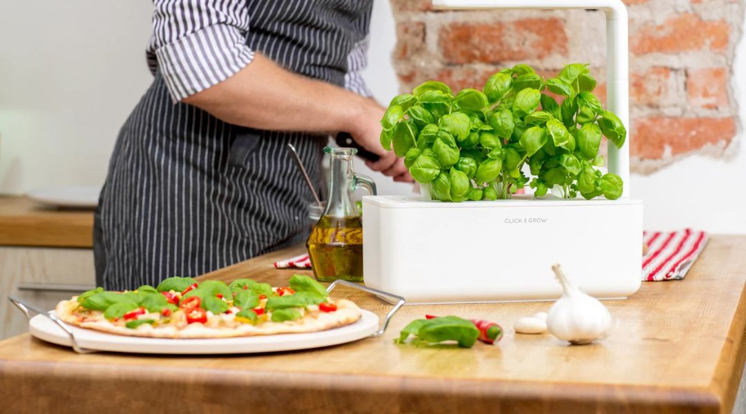 potager interieur smart and grow pizza