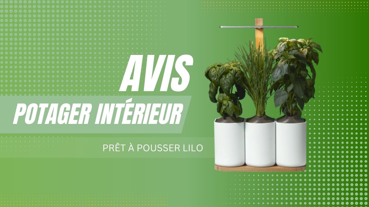 avis potager interieur pret a pousser lilo