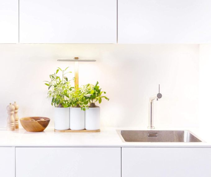 potager interieur pret a pousser lilo cuisine
