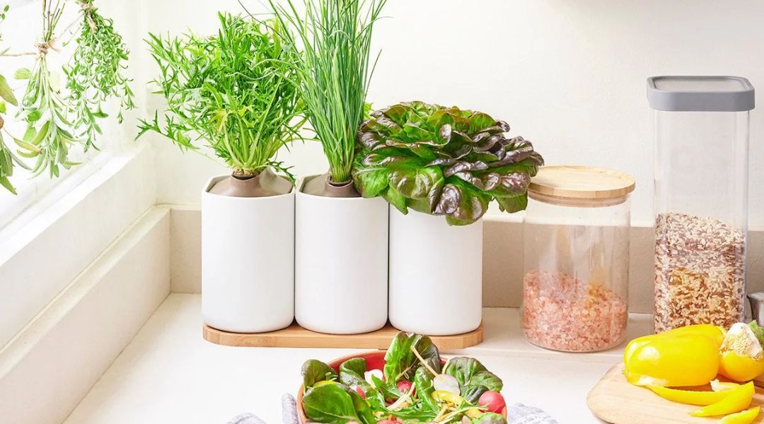 pret a pousser cuisiner lilo