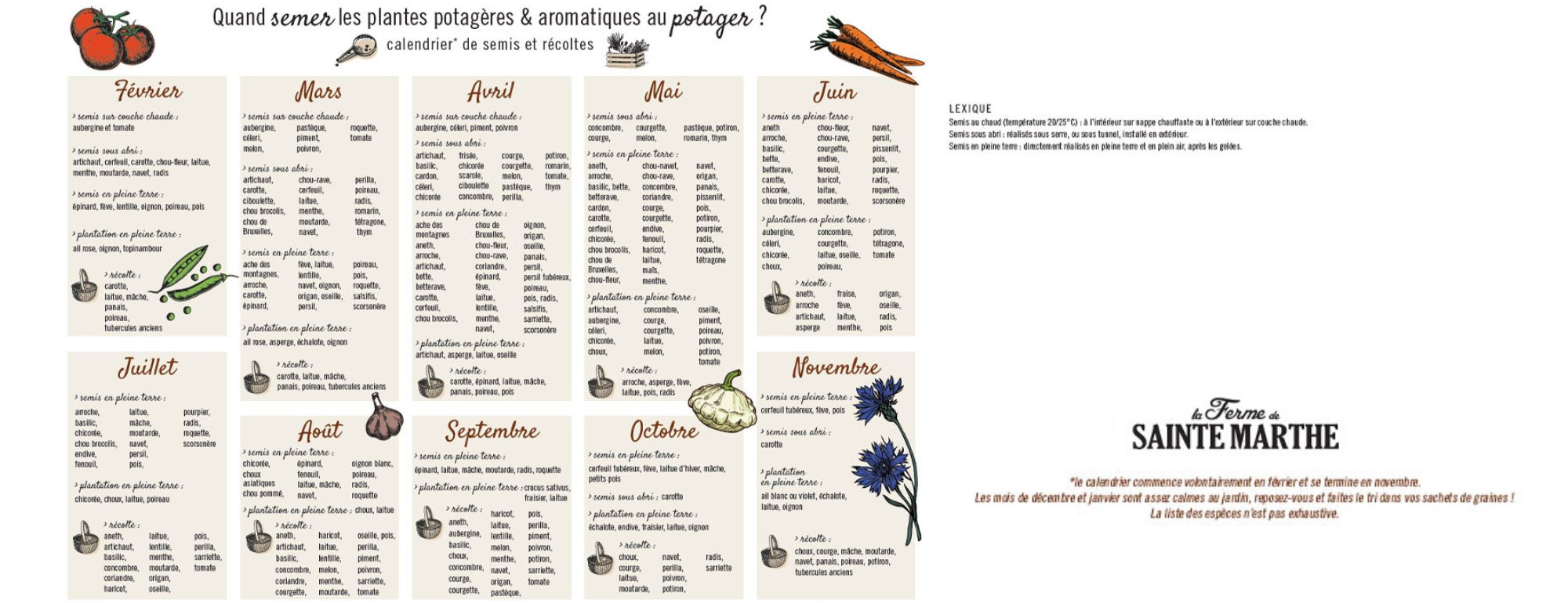 calendrier semis potager interieur