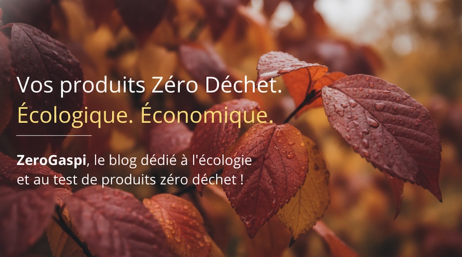 boutique zerogaspi