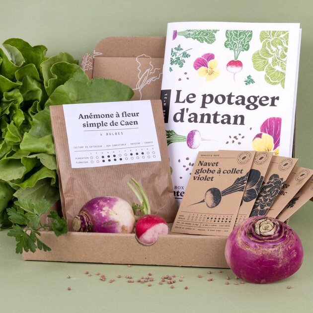Kit Pédagogique "Potager D'une Classe" - 24 Sachets De Graines (légumes, Aromates, Fleurs) Pour école