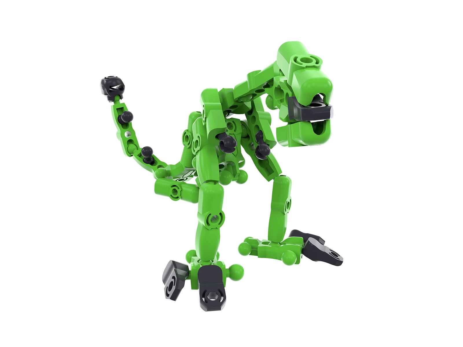 figz_raptor[1]