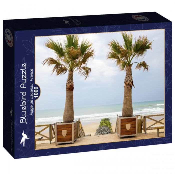 bluebird-puzzle-plage-de-lacanau-france-puzzle-1000-pieces.95355-2.700[1]