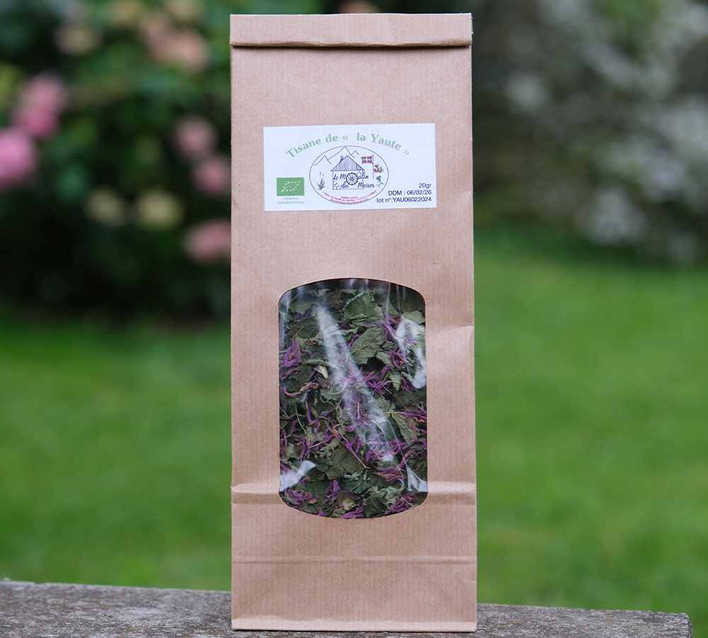 tisane-de-la-yaute-1