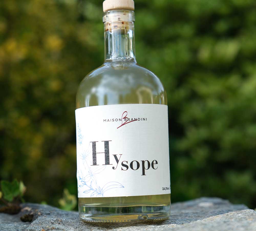 liqueur-hysope-artisanale-maison-brandini-2