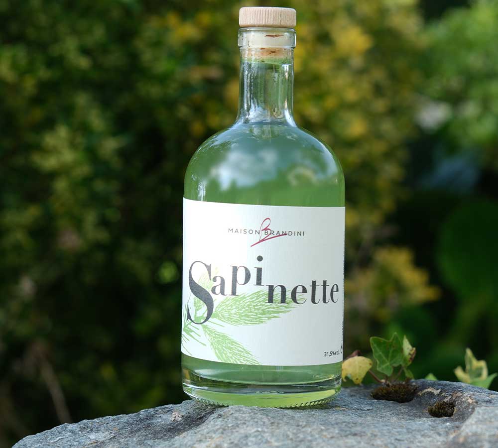 liqueur-sapinette-artisanale-maison-brandini-1