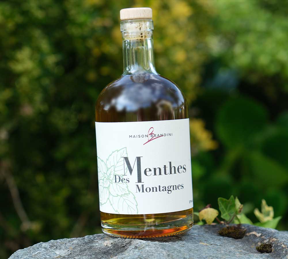 liqueur-menthe-montagne-artisanale-maison-brandini-1
