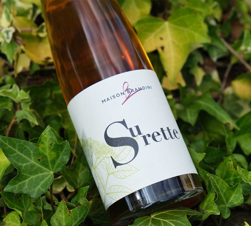 liqueur-vermouth-surette-artisanale-maison-brandini-1