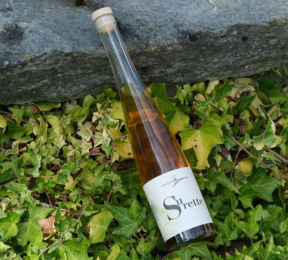 liqueur-vermouth-surette-artisanale-maison-brandini-2