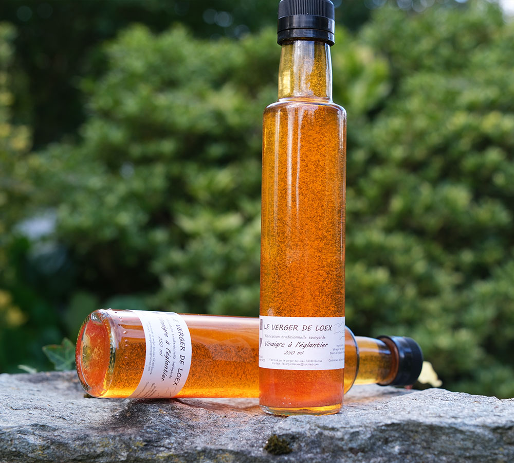 vinaigre-eglantier-maison-artisanal-2