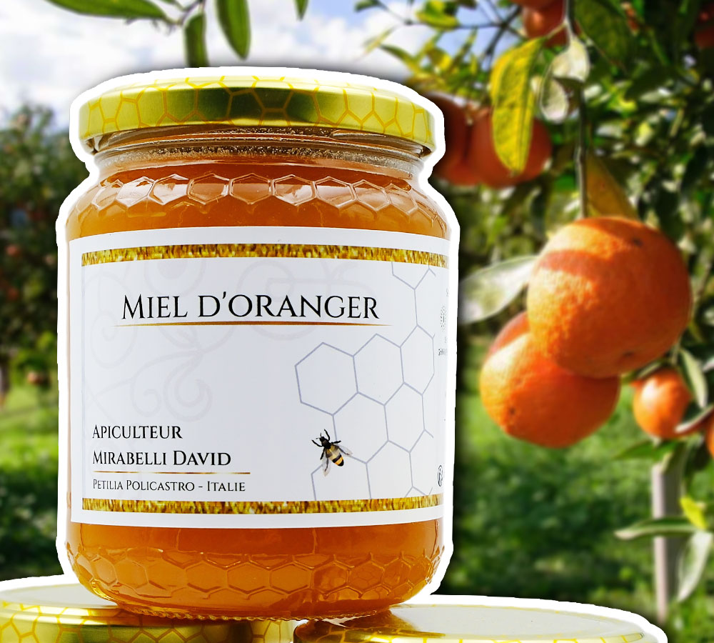 miel-oranger-artisanale-1