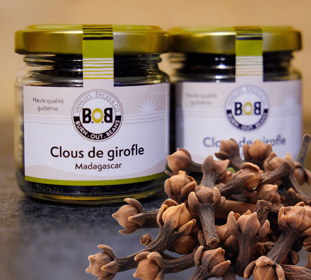 epice-artisanale-clou-girofle-madagascare-1