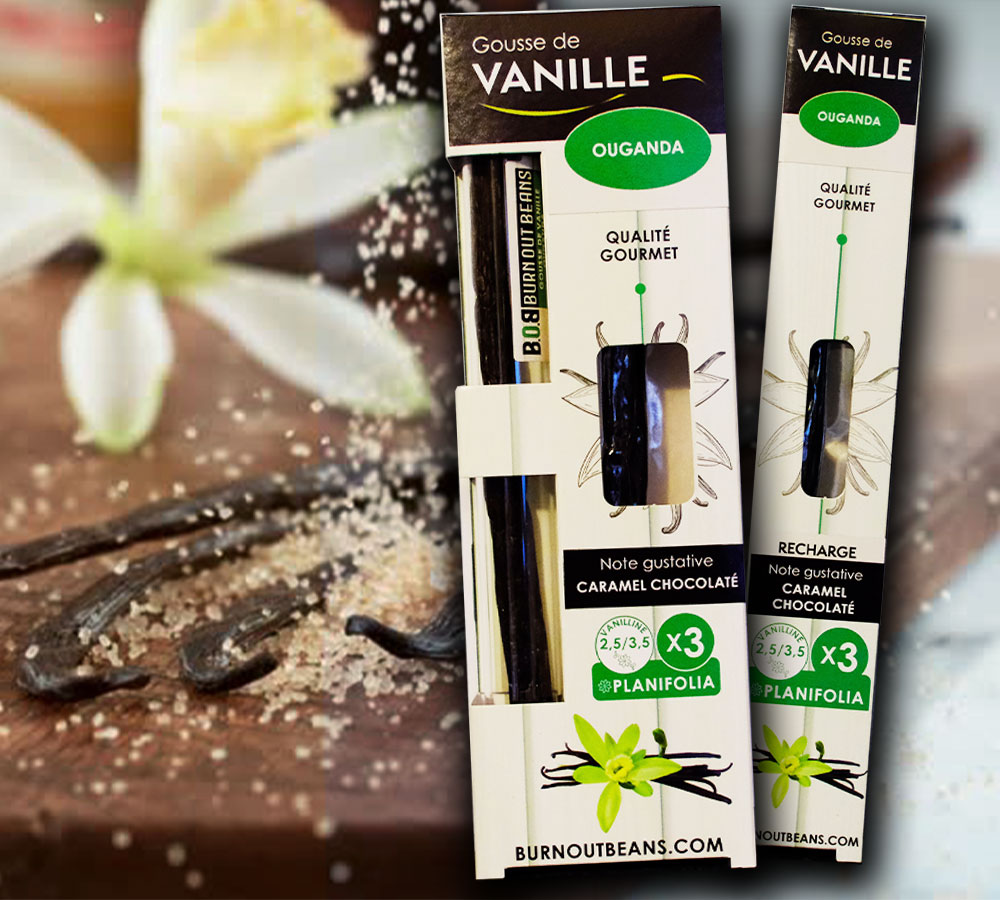 vanille-gourmet-ouganda-1