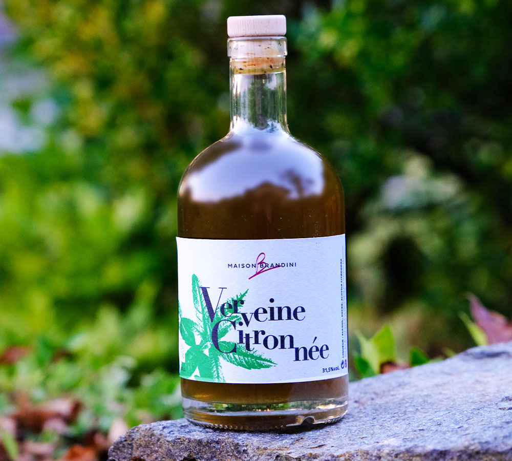 liqueur-verveine-citron-artisanale-maison-brandini-1