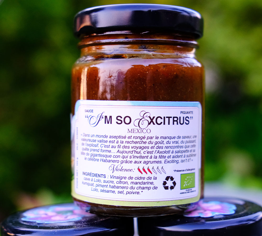 sauce-piquante-piment-moyen-exitrus-maison-brandini-2