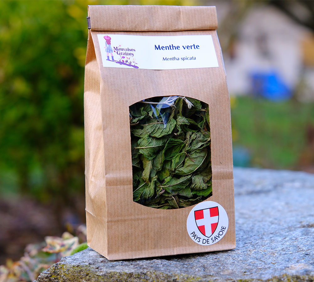 tisane-menthe-verte-artisanale-france-mauvaise-graine-1