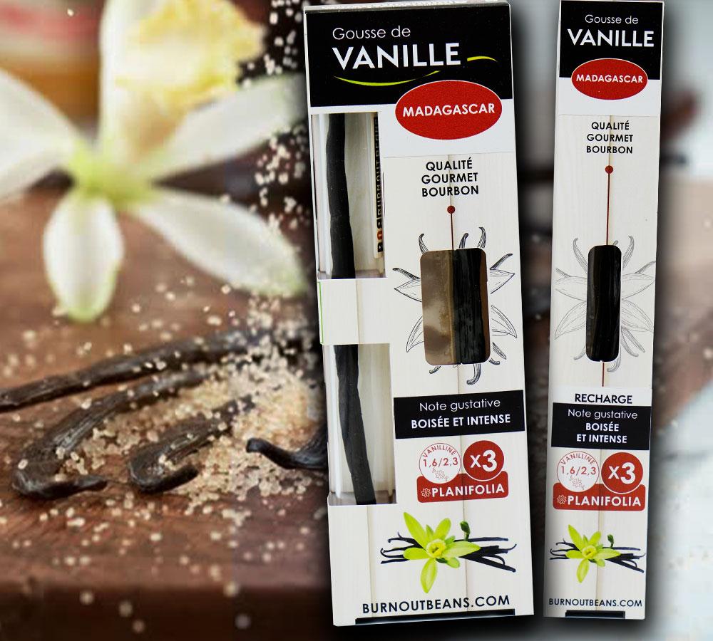 vanille-gourmet-madagascar-1