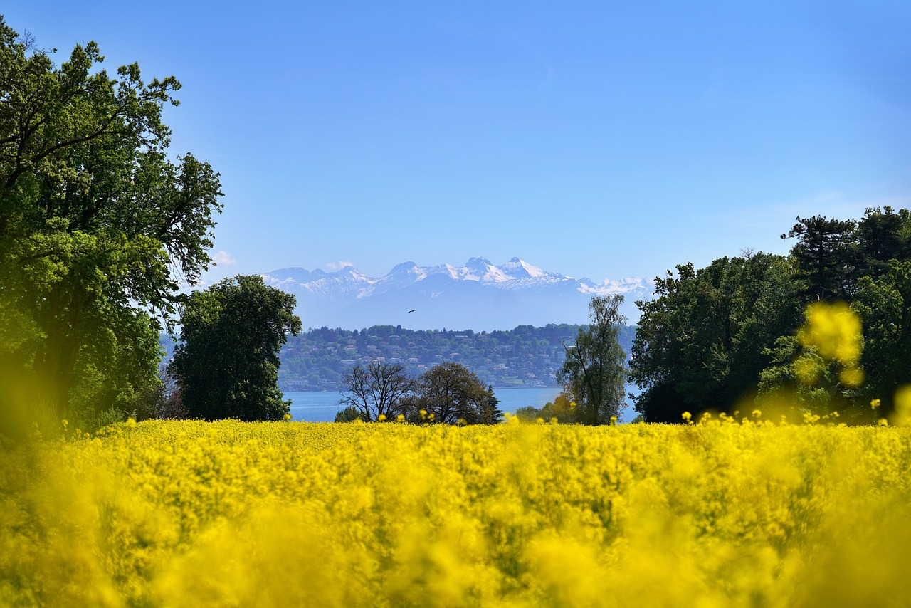 lac leman