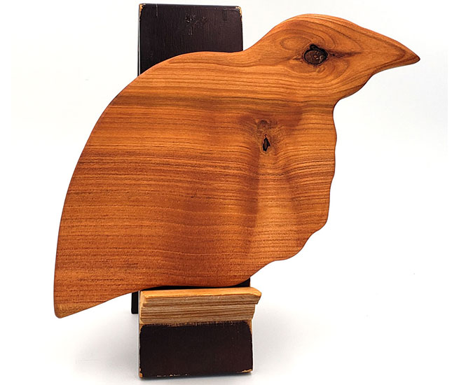 Mais quel oiseau est-ce ?