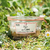 Delices-alpage_Terrine-cepes-2