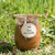 Delices-alpage_Diots-lentilles