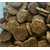 biscuit-aperitif-croquant-bleur-artisanale-france-saint-agone-1