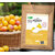 mirabelles-denoyautees-sechees-france-artisanale-bio-bioloklock